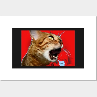 Bengal Katze 1 / Swiss Artwork Photography Posters and Art